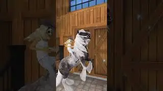 20 Fox Century presents Star Stable 