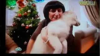 Новый Год.wmv