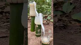 Survival Skills: Amazing Dirty Water Purification Filter #survival #bushcraft #camping #shorts