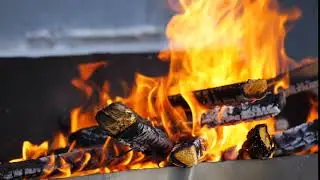 lit a bonfire of wood