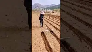 Smart Farming 