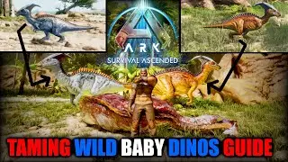 ARK Survival Ascended - How to CLAIM Wild Baby Dinos GUIDE