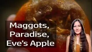 Paradise, Maggots, Adam & Eve's Apple (Psychic Insight)