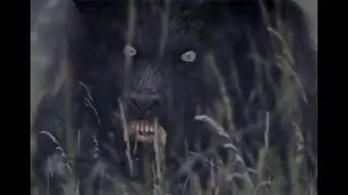 Bray Road Beast VFX shot...