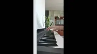 La voce del silenzio