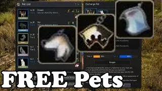 BDO - Getting 3 Pets for FREE & Tier 4 Pet attempt