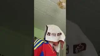Вайн/Брат/Flab day channel