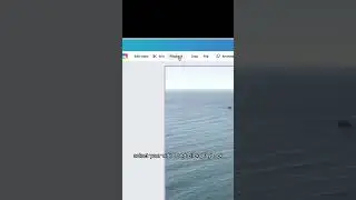 Adjust Video Speed in Canva