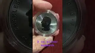 ⭐️2024 Royal Canadian Mint 2 oz Silver Mammoth⭐️⭐️💰
