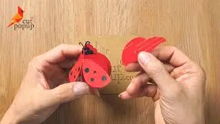Ladybug 3D Pop Up Card | Cutpopup