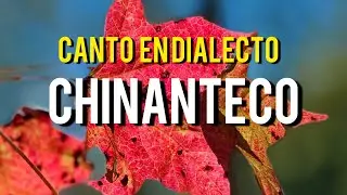 Canto en dialecto Chinanteco