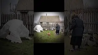 боевая #short #shorts
