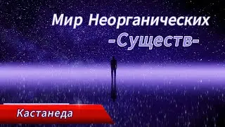 Союзники 5. Кастанеда.