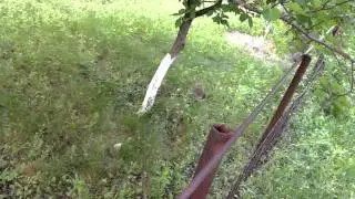 Ежики пасутся на травке