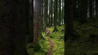 a walk in the woods 💚 #darkcottagecore #cottagecore #irishwolfhound
