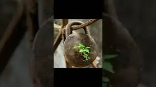 Мощные символы Заземления.