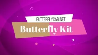 Kay Little - Time Lapse - The Life Cycle of the Painted Lady Butterfly - Kay Little