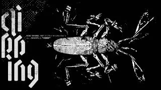 clipping. - Code (Official Audio)