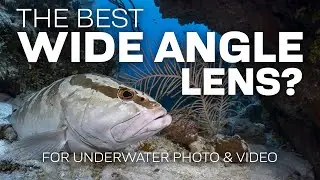 What Is The Best Wide Angle Lens For Underwater Photography & Video?