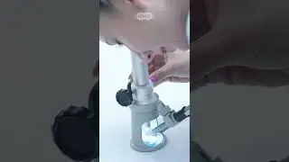 Компания Hobot 