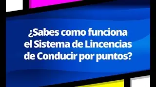 Sistema de Licencias por Puntos