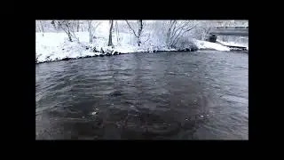 Про рибалок.