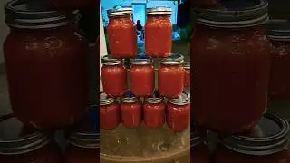 Homegrown Rancho Tomatoes Red Sauce!...Let's Make Some!