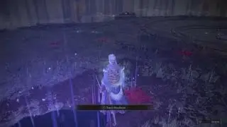 Elden Ring - NG+ in a Nutshell