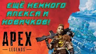 Apex Legends выпуск Поиграл с новичками и не только #10