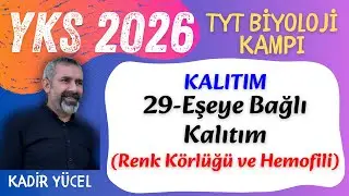 29-Kalıtım-Eşeye Bağlı Kalıtım (Renk Körlüğü ve Hemofili) I YKS 2026 I Kadir Yücel