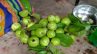গাছ থেকে পেয়ারা চুরি করে পেয়েরা মাখা খেলাম /সেই সাদ ছিল পেয়ারা গুলো।😍😘
