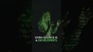 5 FUN FACTS About Developers 