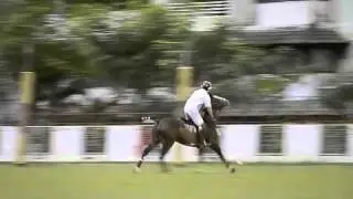 polo
