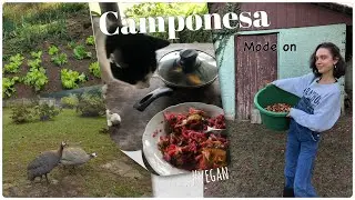 Vlog | 30 dias morando na Chácara! | Luiza Scandelari