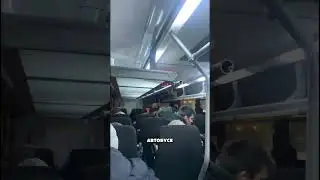 КАК ПРОХОДИТ ДЕНЬ ПРОГРАММИСТА?