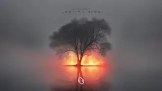 Notan Nigres - Lost My Mind