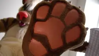 Taro