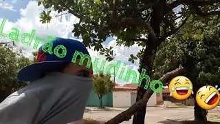 Tipos de ladrão ft: (gabriel fellipy)