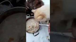 Дачники зимой в деревне!