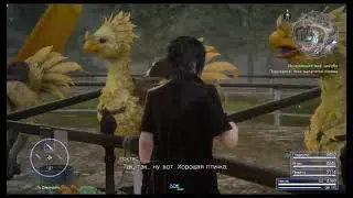 why