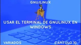 GNU/LINUX VARIADOS 10 - USAR EL TERMINAL DE GNULINUX EN WINDOWS