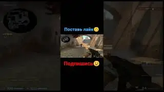 Смешной момент у мармока😂 #shorts #shortsvideo