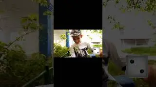 я выиграл автомобиль!! #tiktok #юмор #cat