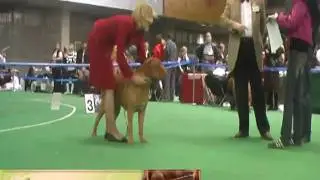 Максборд Мона Лиза