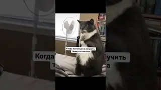 КОГДА ПЫТАЕШЬСЯ ТАНЦЕВАТЬ ТАНЕЦ ИЗ ТИК ТОКА 