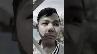 Не дразните собак😨