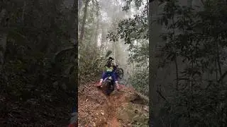 #yz250