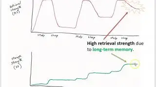 Memory perspectives:  How understanding the brain can make us better learners- How to Study