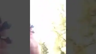 Что будет если кинуть Скиннер с 2 этажа