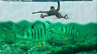 ЧТО ТАМ ОКУНЬ ДЕЛАЕТ ?! ОПУСТИЛ КАМЕРУ ПОД ВОДУ